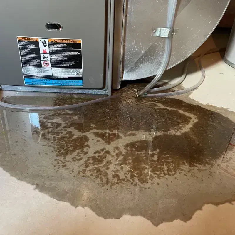 Appliance Leak Cleanup in Bristol, RI